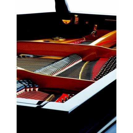 Piano 1/4 de queue Petrof P159 Bora