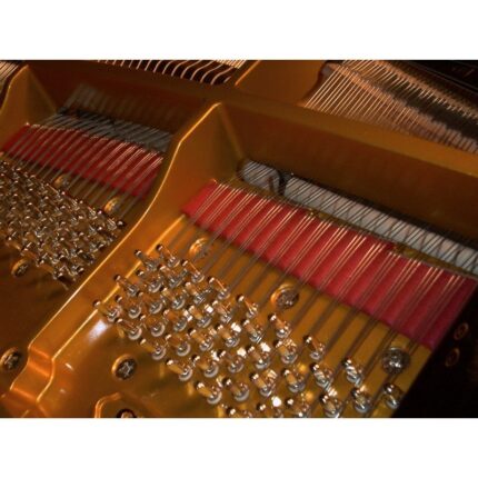 Shigeru Kawai SK5 – Piano demi queue